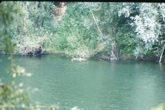 Bislicher-Insel-1991-11